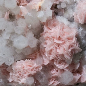 Ｖａｍｐｉｒｅ