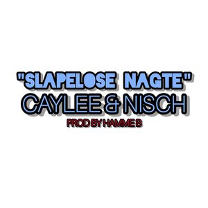 Slapelose Nagte