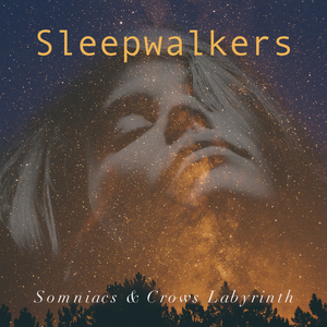 Sleepwalkers