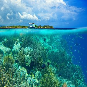 困惑时心中无解答