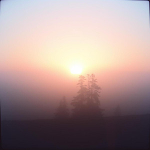 窓越しに差し込む午後の光