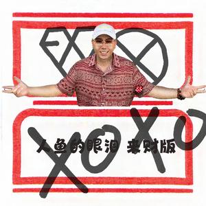 人鱼的眼泪来财版 (Remix Various Artists)