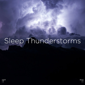 호우 잠