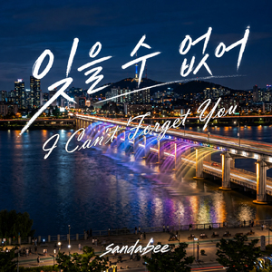I Can't Forget You