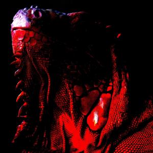 Reptile