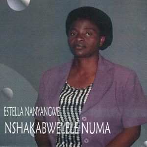 Nshakabwelele Numa 2