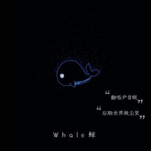 whale（鲸）