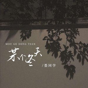 某个冬天