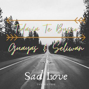 Todavia Te Busco (feat. Seliwan)