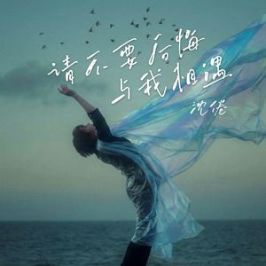 请不要后悔与我相遇 (沈倦版)