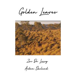 Golden Leaves (feat. Aidan Ekelund)