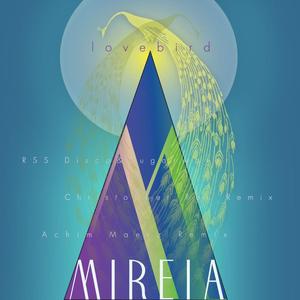 Lovebird (Rough Achim Maerz Remix)