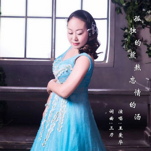 孤独的煎熬忘情的汤 (广场舞版)