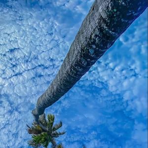 張YUJ1806的纯音乐 (6)