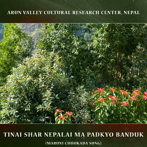 Tinai Shar Nepalai ma Padkyo Banduk (Maruni Chhokada Song)