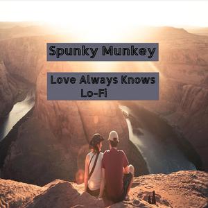Love Always Knows Lo-Fi