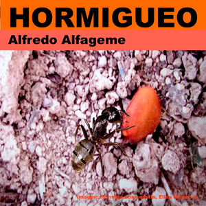 Hormigueo