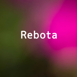 Rebota