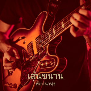 เส้นขนาน