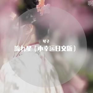 小幸运（翻自 荒木毬菜）