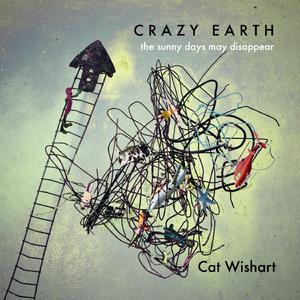 Disappearing Arctic Flowers