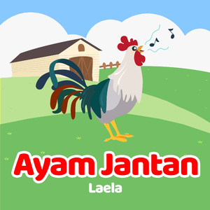 Ayam Jantan