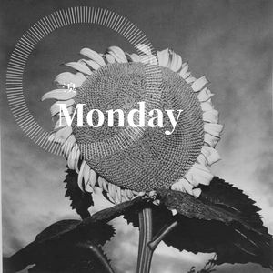 Monday