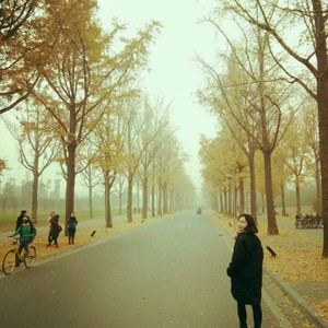 灵魂伴侣（Cover 田馥甄）