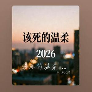该死的温柔 Dj 2026版