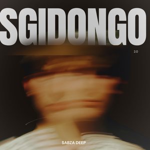 Sgidongo 2.0