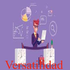 Versatilidad