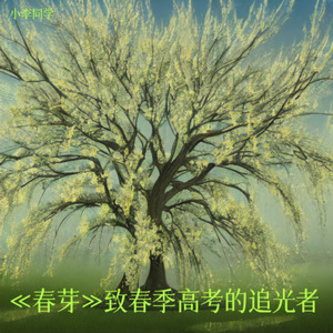 致春季高考的追光者