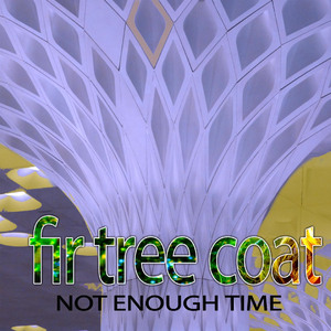 Not Enough Time (Radio Mix)