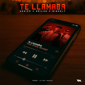 Te Llamaba