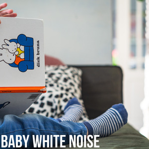 A Bird Comes A-flying