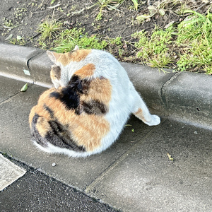 ばいばいまたあしたね (feat.初音ミク)