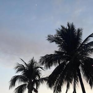 Zicatela (feat. Eddivan & Justine Mathulin)