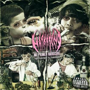 Anexado (En Cottolengo)