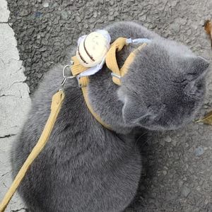 （50买断）旋律动感女声哼唱Electra