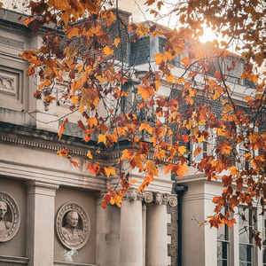 失眠飞行 (ZhehanZ Remix) (Inst.)