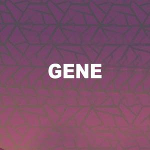 回炉重造之gene