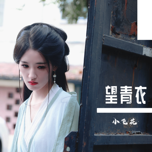 望青衣 伴奏