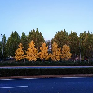 风与时光的约定.wav