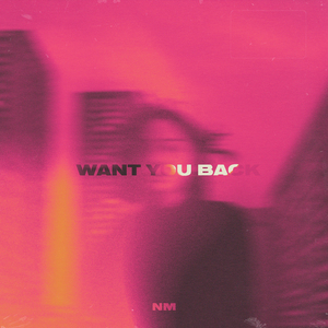 Want You Back