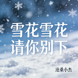 雪花雪花请你别下