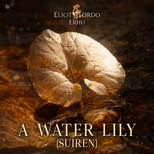 A Water Lily (Suiren)