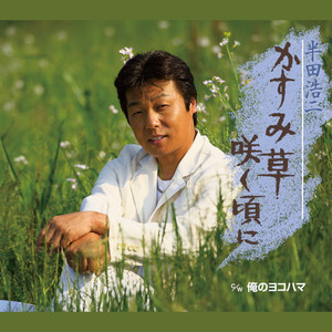 かすみ草咲く頃に