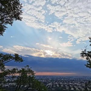 董小姐（干音） - 阿就酱子