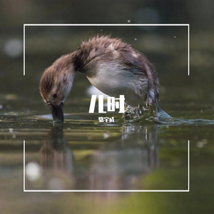 成都（cover赵雷）（翻自 赵雷）