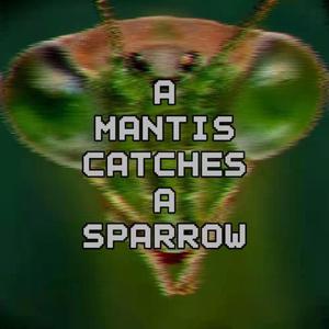 螳螂捕雀（Prod. by 房间里的大象）